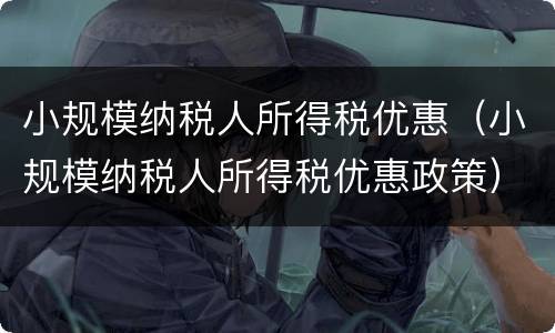小规模纳税人所得税优惠（小规模纳税人所得税优惠政策）