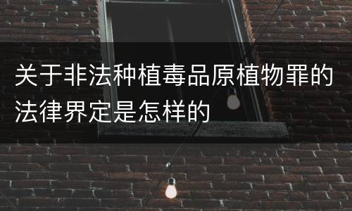 关于非法种植毒品原植物罪的法律界定是怎样的