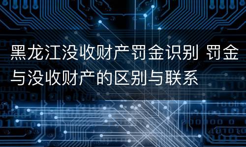 黑龙江没收财产罚金识别 罚金与没收财产的区别与联系