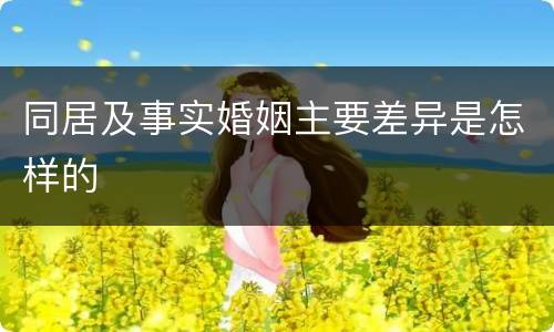 同居及事实婚姻主要差异是怎样的