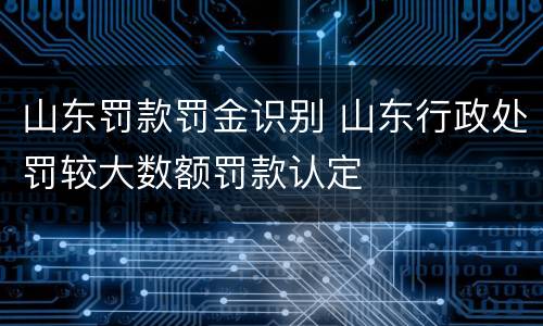 山东罚款罚金识别 山东行政处罚较大数额罚款认定