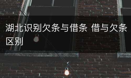 湖北识别欠条与借条 借与欠条区别