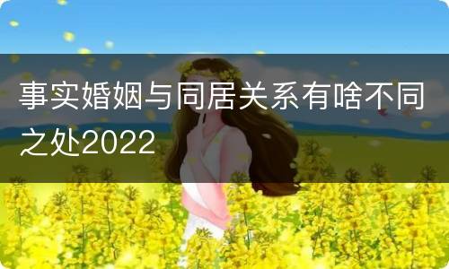 事实婚姻与同居关系有啥不同之处2022
