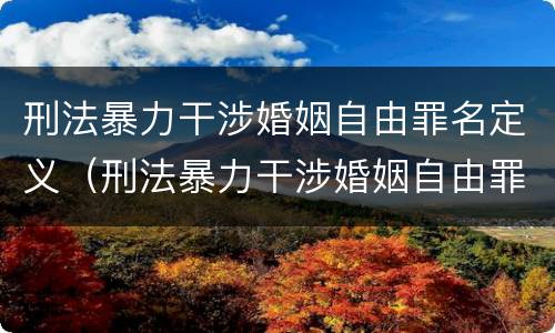 刑法暴力干涉婚姻自由罪名定义（刑法暴力干涉婚姻自由罪名定义是什么）