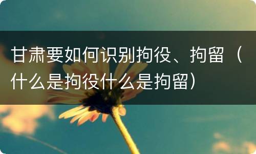 甘肃要如何识别拘役、拘留（什么是拘役什么是拘留）