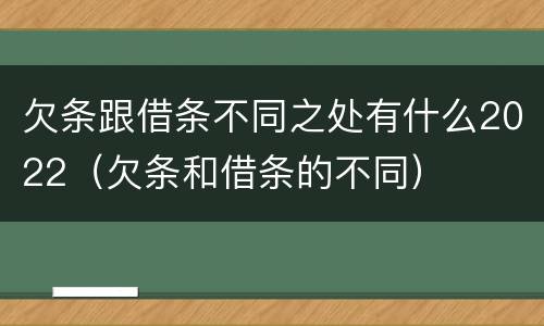 欠条跟借条不同之处有什么2022（欠条和借条的不同）