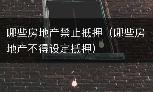 哪些房地产禁止抵押（哪些房地产不得设定抵押）