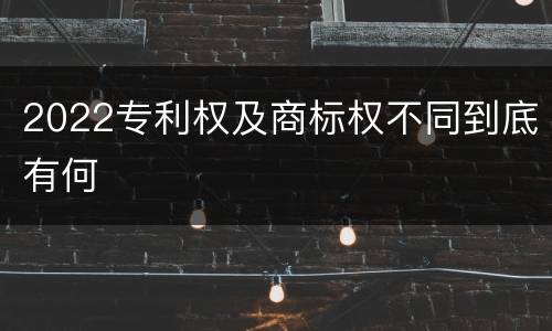 2022专利权及商标权不同到底有何
