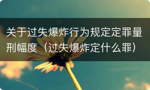 关于过失爆炸行为规定定罪量刑幅度（过失爆炸定什么罪）