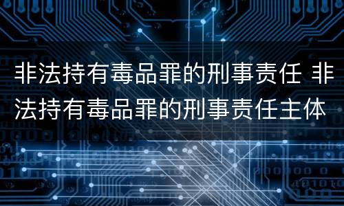 非法持有毒品罪的刑事责任 非法持有毒品罪的刑事责任主体