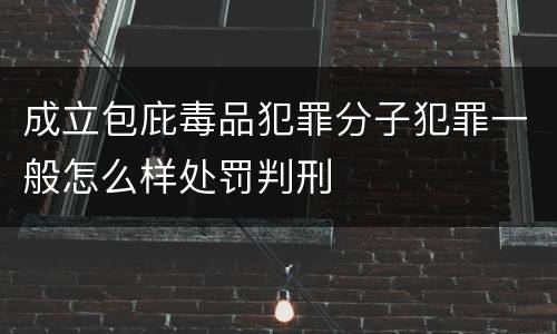 成立包庇毒品犯罪分子犯罪一般怎么样处罚判刑