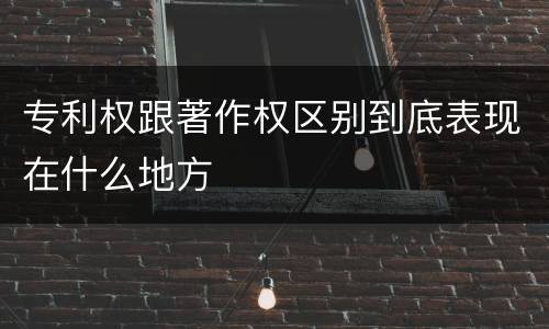 专利权跟著作权区别到底表现在什么地方