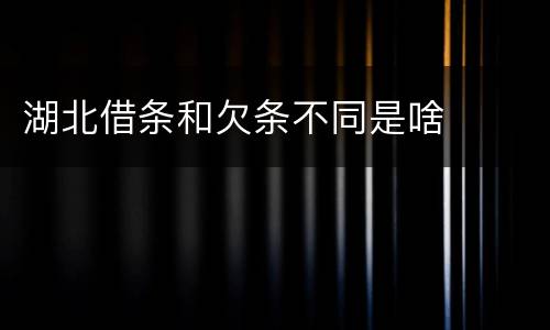 湖北借条和欠条不同是啥
