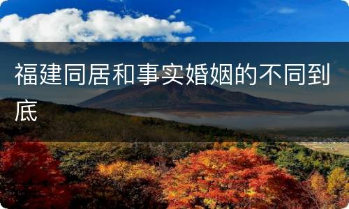 福建同居和事实婚姻的不同到底