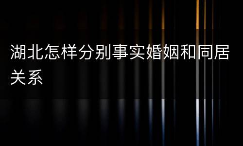 湖北怎样分别事实婚姻和同居关系