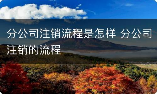分公司注销流程是怎样 分公司注销的流程