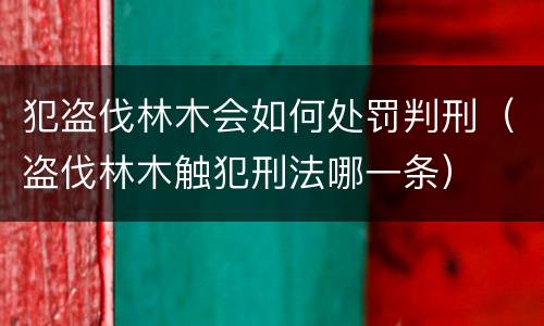 犯盗伐林木会如何处罚判刑（盗伐林木触犯刑法哪一条）