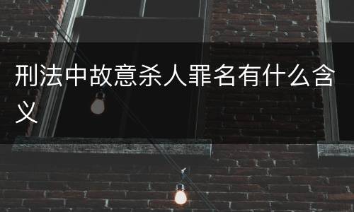 刑法中故意杀人罪名有什么含义