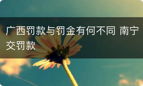 广西罚款与罚金有何不同 南宁交罚款