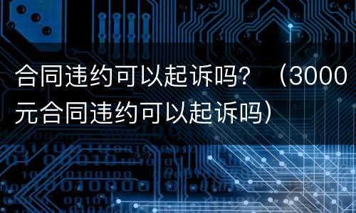 合同违约可以起诉吗？（3000元合同违约可以起诉吗）