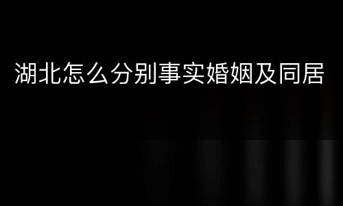 湖北怎么分别事实婚姻及同居