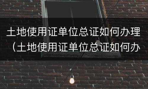 土地使用证单位总证如何办理（土地使用证单位总证如何办理过户）