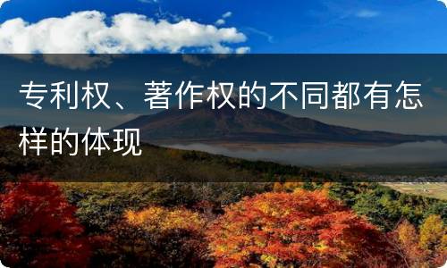 专利权、著作权的不同都有怎样的体现