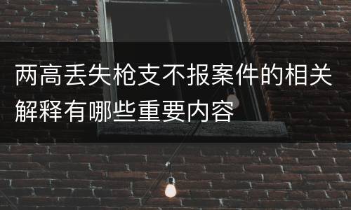两高丢失枪支不报案件的相关解释有哪些重要内容
