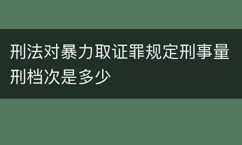 刑法对暴力取证罪规定刑事量刑档次是多少