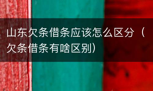 山东欠条借条应该怎么区分（欠条借条有啥区别）