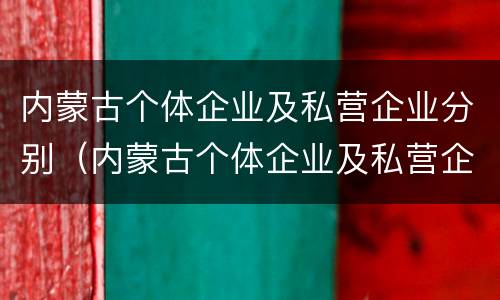 内蒙古个体企业及私营企业分别（内蒙古个体企业及私营企业分别是）