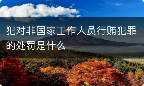 犯对非国家工作人员行贿犯罪的处罚是什么