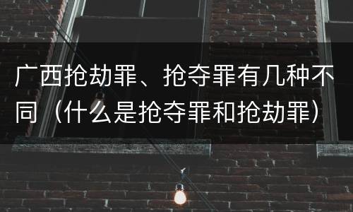 广西抢劫罪、抢夺罪有几种不同（什么是抢夺罪和抢劫罪）