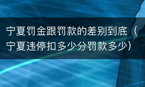 宁夏罚金跟罚款的差别到底（宁夏违停扣多少分罚款多少）