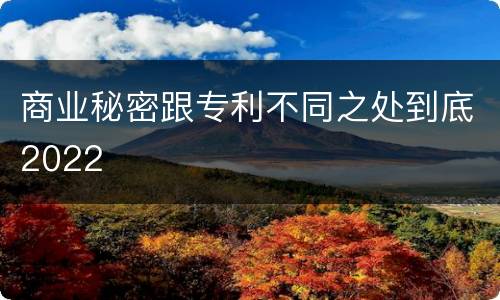 商业秘密跟专利不同之处到底2022