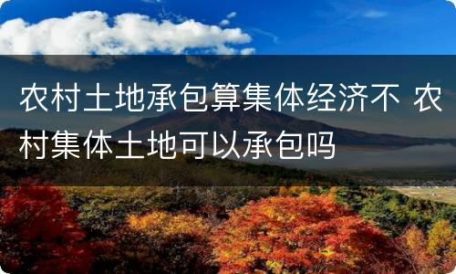 农村土地承包算集体经济不 农村集体土地可以承包吗