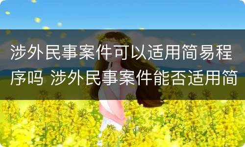 涉外民事案件可以适用简易程序吗 涉外民事案件能否适用简易程序