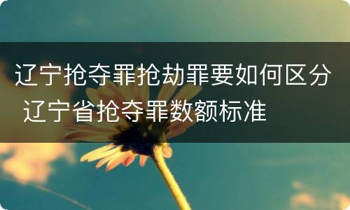 辽宁抢夺罪抢劫罪要如何区分 辽宁省抢夺罪数额标准