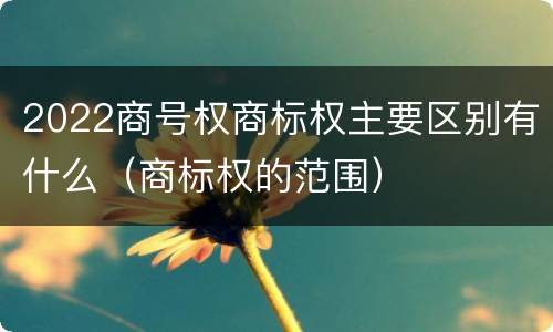 2022商号权商标权主要区别有什么（商标权的范围）