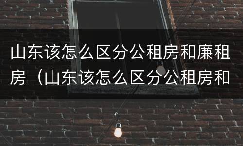 山东该怎么区分公租房和廉租房（山东该怎么区分公租房和廉租房呢）