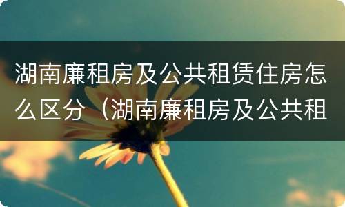 湖南廉租房及公共租赁住房怎么区分（湖南廉租房及公共租赁住房怎么区分的）