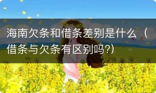 海南欠条和借条差别是什么（借条与欠条有区别吗?）