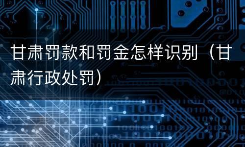 甘肃罚款和罚金怎样识别（甘肃行政处罚）