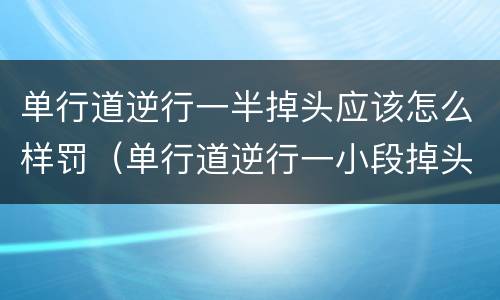 单行道逆行一半掉头应该怎么样罚（单行道逆行一小段掉头会扣分吗）