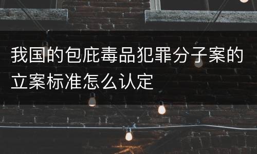 我国的包庇毒品犯罪分子案的立案标准怎么认定
