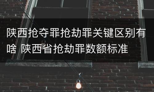 陕西抢夺罪抢劫罪关键区别有啥 陕西省抢劫罪数额标准