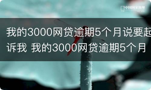 我的3000网贷逾期5个月说要起诉我 我的3000网贷逾期5个月说要起诉我怎么办