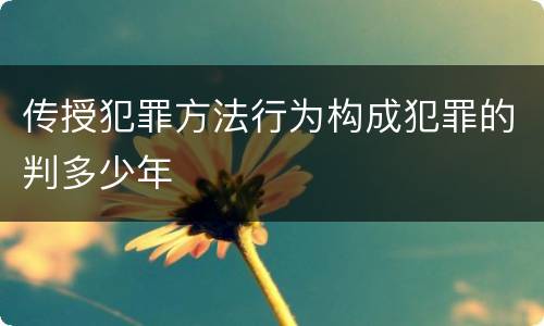 传授犯罪方法行为构成犯罪的判多少年