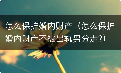 怎么保护婚内财产（怎么保护婚内财产不被出轨男分走?）