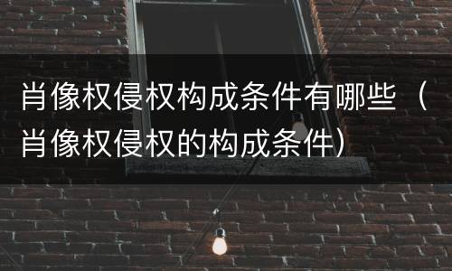 肖像权侵权构成条件有哪些（肖像权侵权的构成条件）